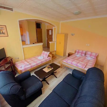 Apartment Nikolic *