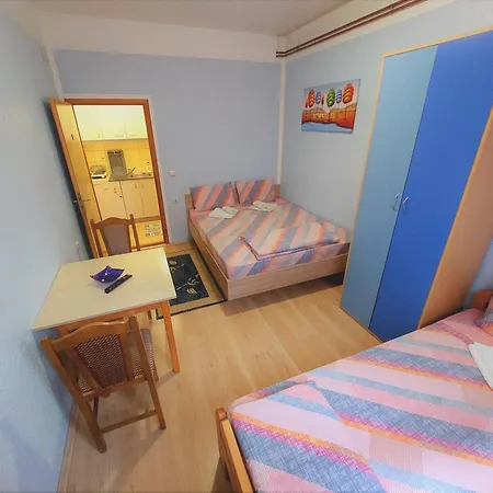 Nikolic Apartment Soko Banja