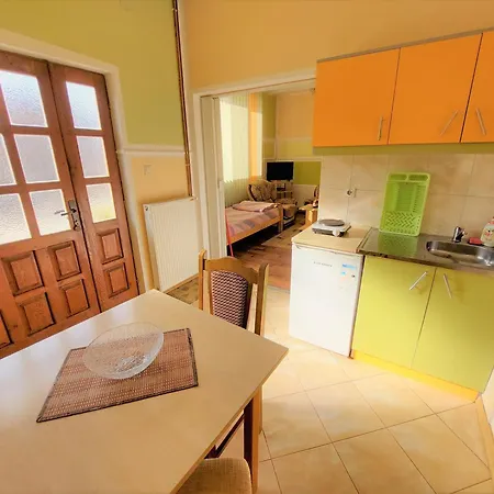 Nikolic Apartment Soko Banja