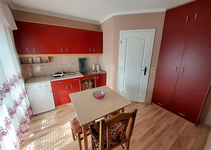 Daire Nikolic Soko Banja