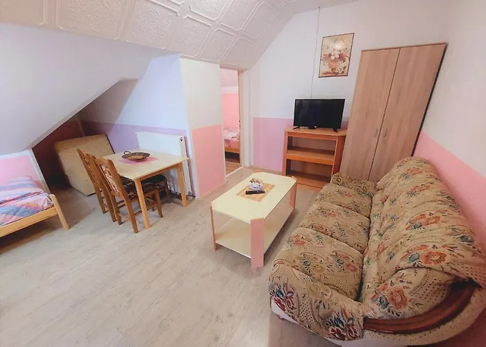 Nikolic * Soko Banja