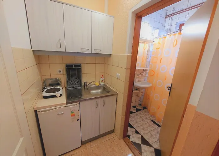 アパート Nikolic ソコバニャ