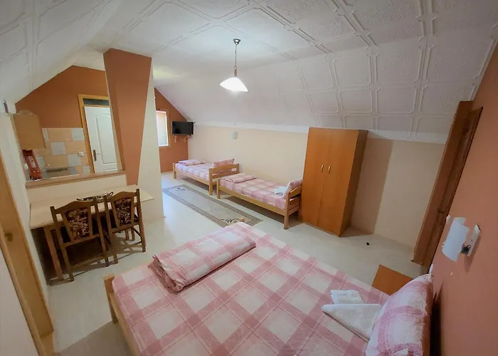 Nikolic * ソコバニャ