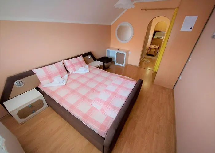 Nikolic Daire Soko Banja