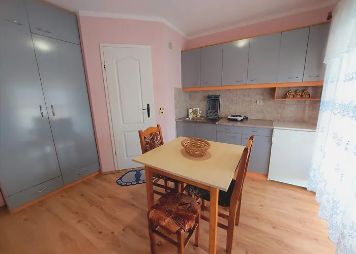 Daire Nikolic Soko Banja