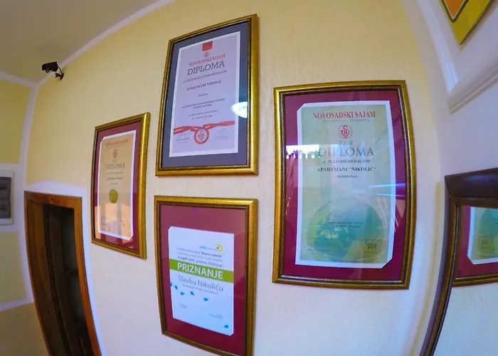 Nikolic Daire Soko Banja