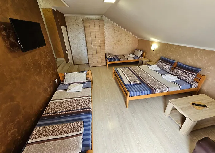 Nikolic Daire Soko Banja