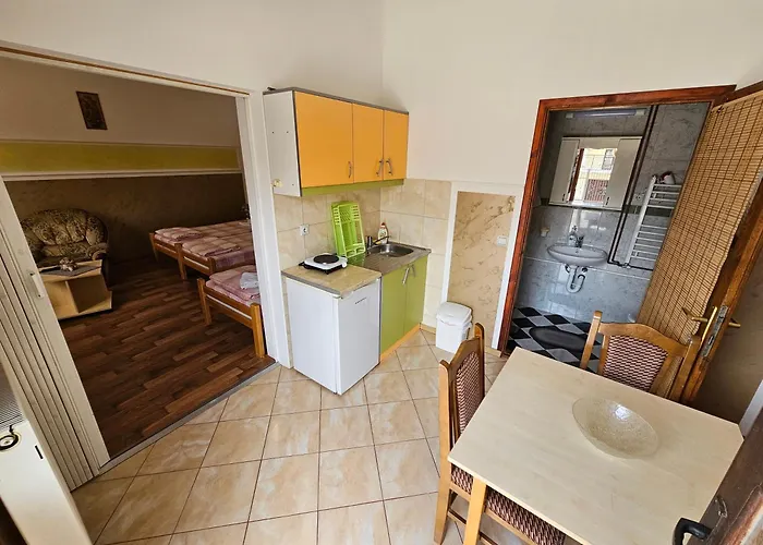 Daire Nikolic Soko Banja